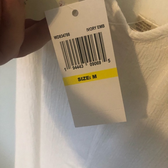 VICI INTO THE WILD FIELDS EMBROIDERED MINI DRESS - OFF WHITE - Picture 3 of 7